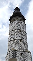 198_TZ60_P1150775_cr