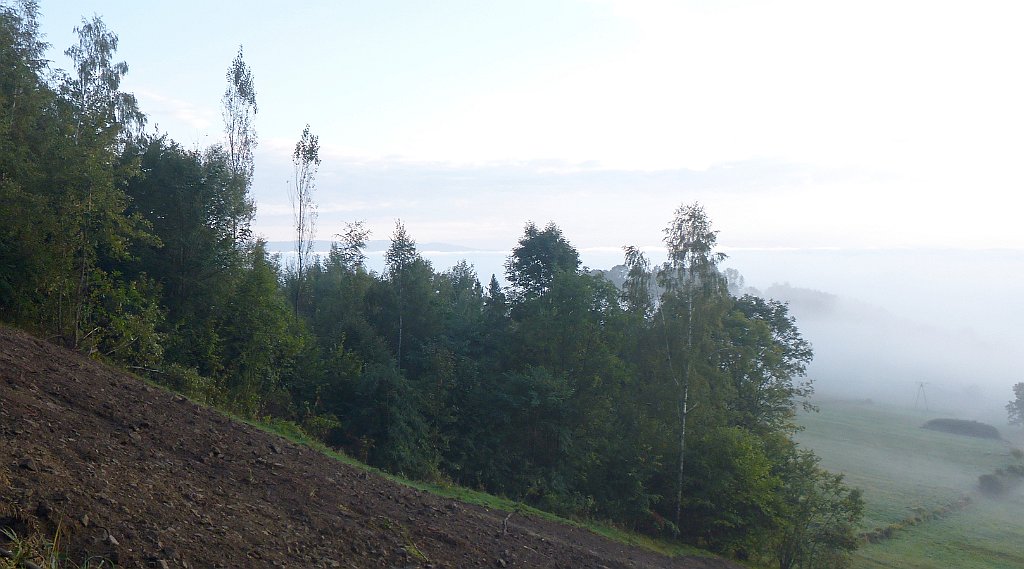 015_3D_P1120948_cr.jpg