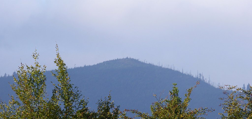 104_TZ60_P1150904_cr.jpg