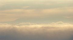 023_TZ60_P1150856_cr