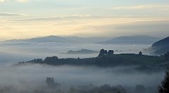 027_TZ60_P1150860_cr