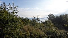 045_TZ60_P1150869_cr