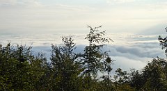 046_TZ60_P1150870_cr