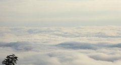 055_TZ60_P1150874_cr