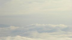 057_TZ60_P1150876_cr