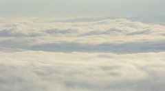 059_TZ60_P1150878_cr