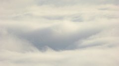 061_TZ60_P1150880_cr