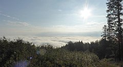 065a_TZ60_P1150882_cr