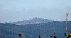 074_TZ60_P1150888_cr