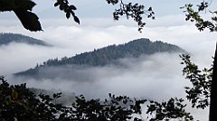 094_TZ60_P1150900_cr