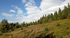 111_A806_IMG_20160922_084349_cr