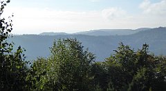 115_TZ60_P1150912_cr