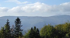 117_TZ60_P1150916_cr