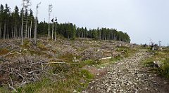 157_TZ60_P1150947_cr