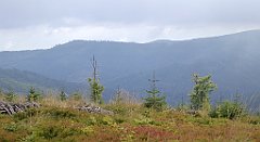 254_TZ60_P1150954_cr