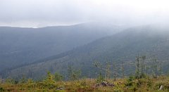 256_TZ60_P1150958_cr