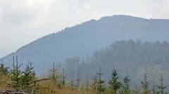 260_TZ60_P1150963_cr