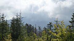 278_TZ60_P1150965_cr