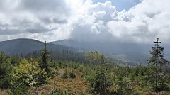 290_TZ60_P1150976_cr