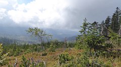 292_TZ60_P1150977_cr