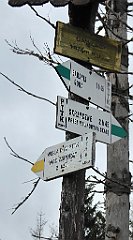 302_TZ60_P1150978_cr