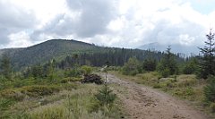 311_TZ60_P1150983_cr