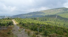 318_TZ60_P1150988_cr