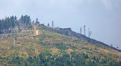 323_TZ60_P1150995_cr