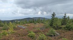 410_TZ60_P1160037_cr