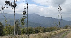 448_TZ60_P1160052_cr