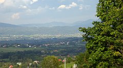 485_TZ60_P1160072_cr