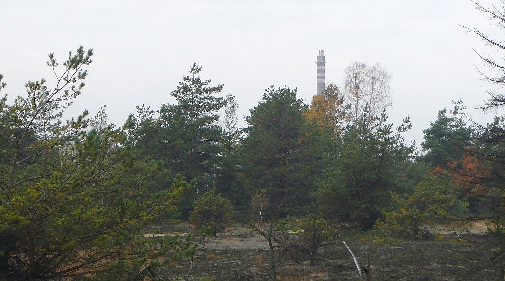 237_3D_P1130669_cr.jpg