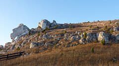 0734a_3D_P1150006_cr