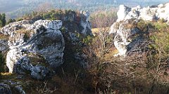 0164b_3D_P1150220_cr