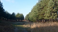 0276a_3D_P1150307_cr