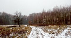 0189_A806_IMG_20161219_112419_cr