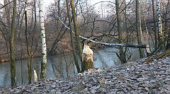 2016_01_29_Maczki_Szopienice