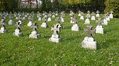 2016_10_28_Jozefowiec_Kokociniec