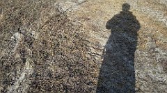 386_A806_IMG_20170305_135842