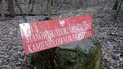 234_A806_IMG_20170321_083438