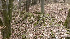 676_2017-03-29_14-12-13_3D_P1190010