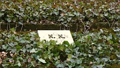 732_2017-03-29_14-51-30_3D_P1190029