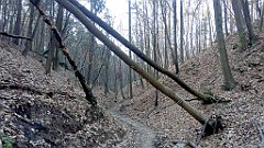 117_A806_IMG_20170401_074707