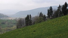 615_IMG_x52786