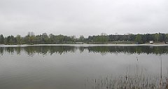 161_IMG_x52865