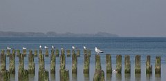 125_IMG_x53044