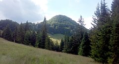 570_A806_IMG_20170706_155618