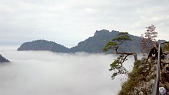 067_A806_IMG_20170930_083256