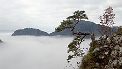 113_A806_IMG_20170930_084518