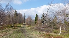 2017_04_09_Tresna_Zar